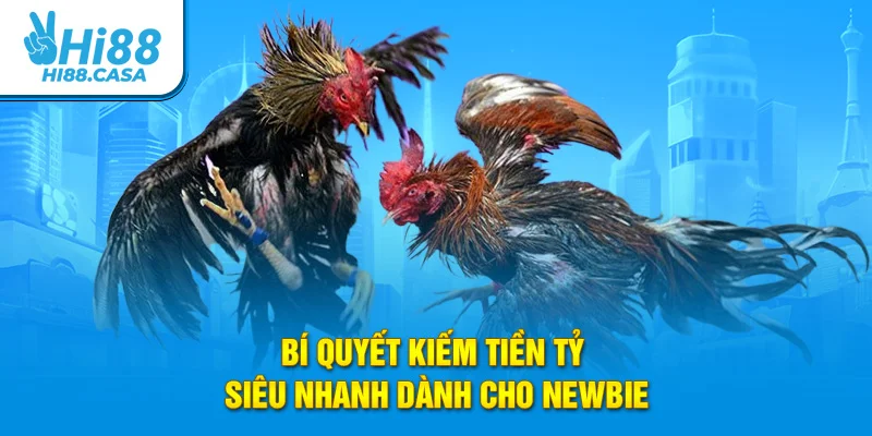 Bí quyết kiếm tiền tỷ siêu nhanh dành cho newbie