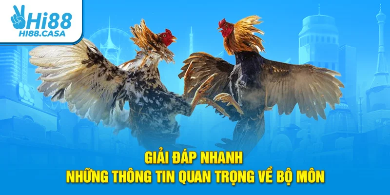 Giải đáp nhanh những thông tin quan trọng về bộ môn