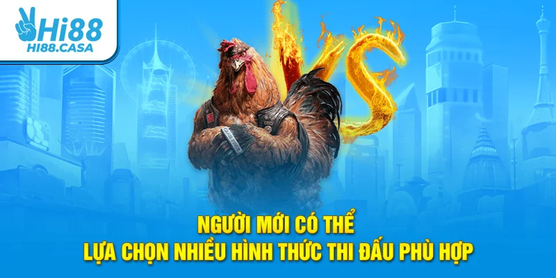 Người mới có thể lựa chọn nhiều hình thức thi đấu phù hợp